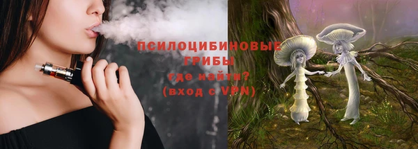 прущий лед Алзамай