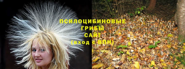 гидра Алексеевка