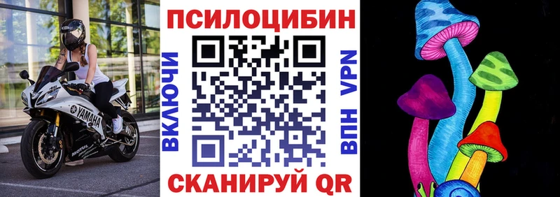 где купить наркоту  Конаково  Галлюциногенные грибы GOLDEN TEACHER 